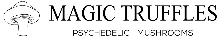 officialmagictruffleschocolate.com